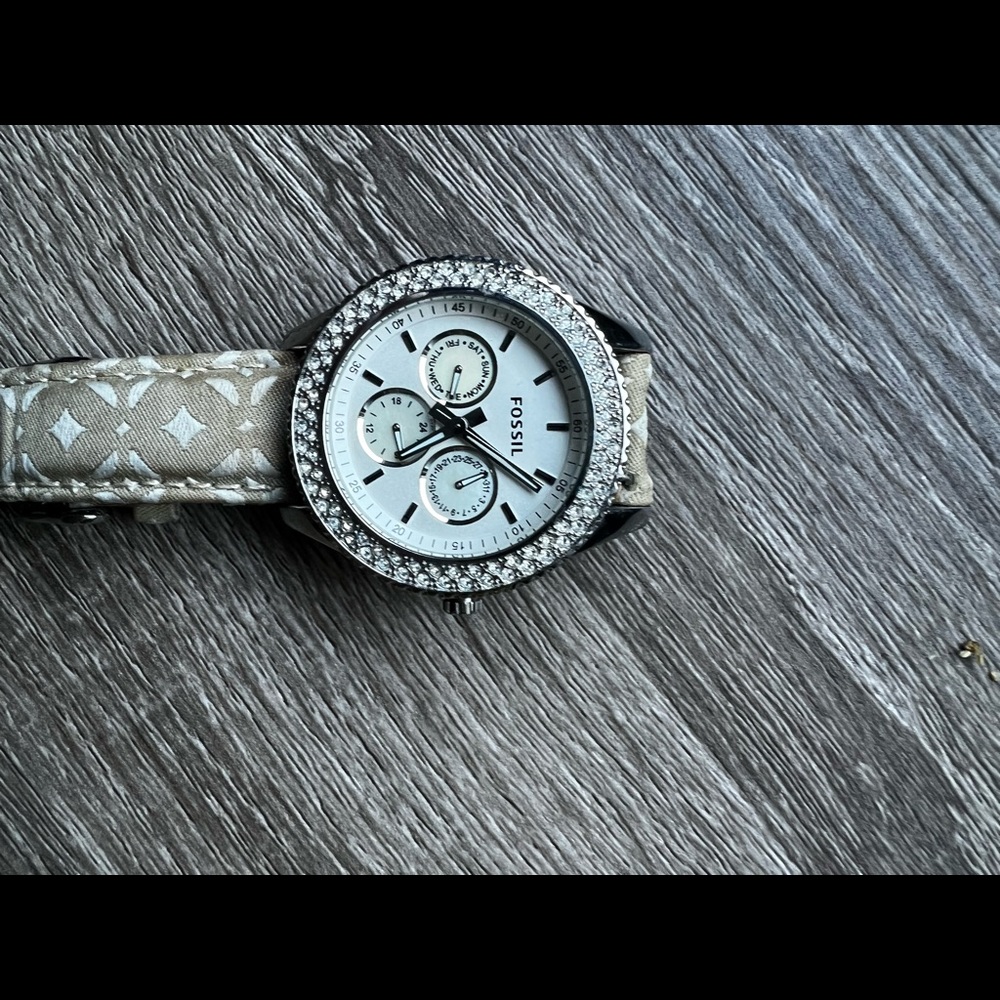 Fossil - Picture 4 of 4